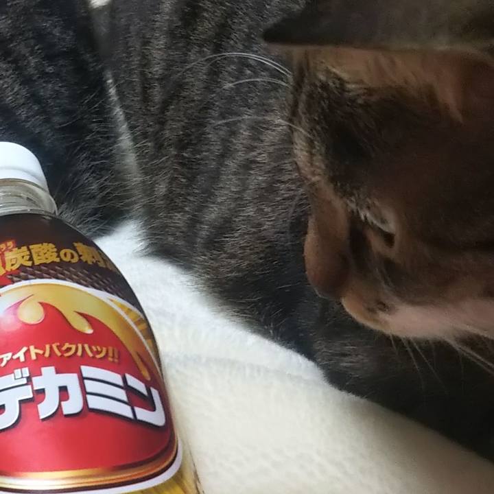 F22995dd a7e1 4df3 98f0 208a8408f65b 1607781268659