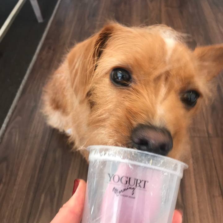 F229a5d0 b611 4f05 a13f 3be117395385 1544831854654