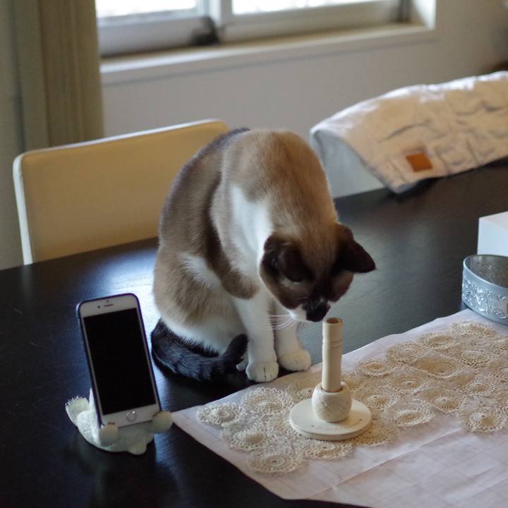 F229b101 ea7b 472b a2ea abc5da3802e4 1537238635825