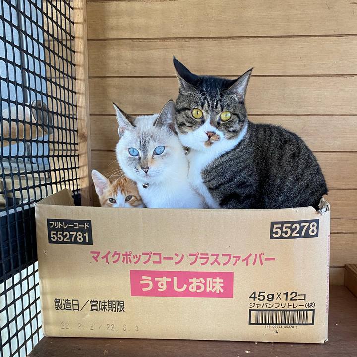 F229b6bc c692 4896 93fa 60f53a7cc00f 1666657870278