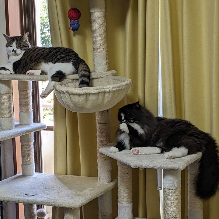 F229c827 4ed4 4181 83e8 f43c2e03050d 1690068090590