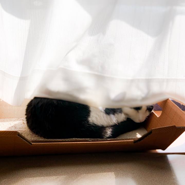 F229da55 90f6 40a4 994d c0c49d4c3063 1592184512802