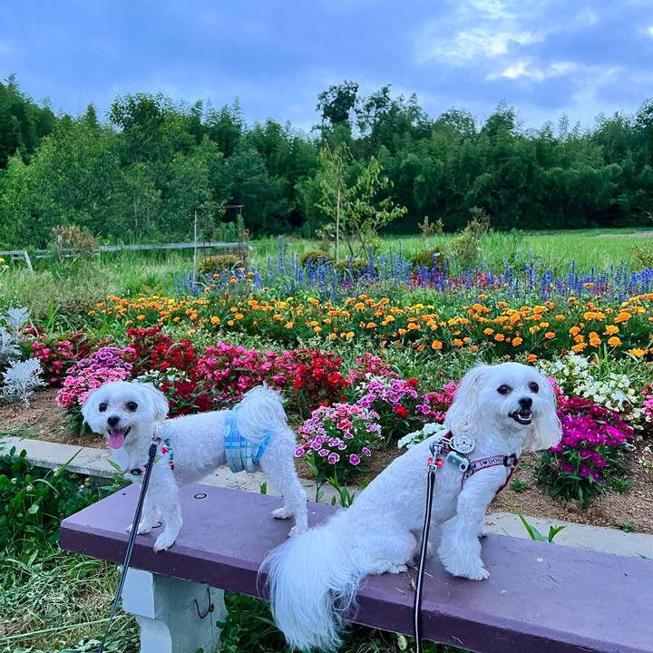 F22a19b1 caf3 4643 af00 9ae39ceb4586 1658715902261