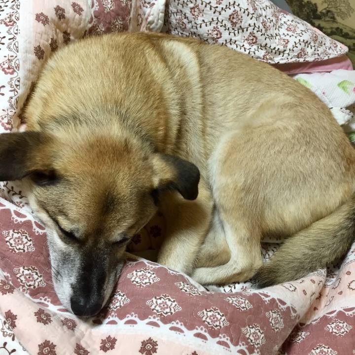 F22a4690 3472 4d22 81af 7dabdf898f78 1531135317924