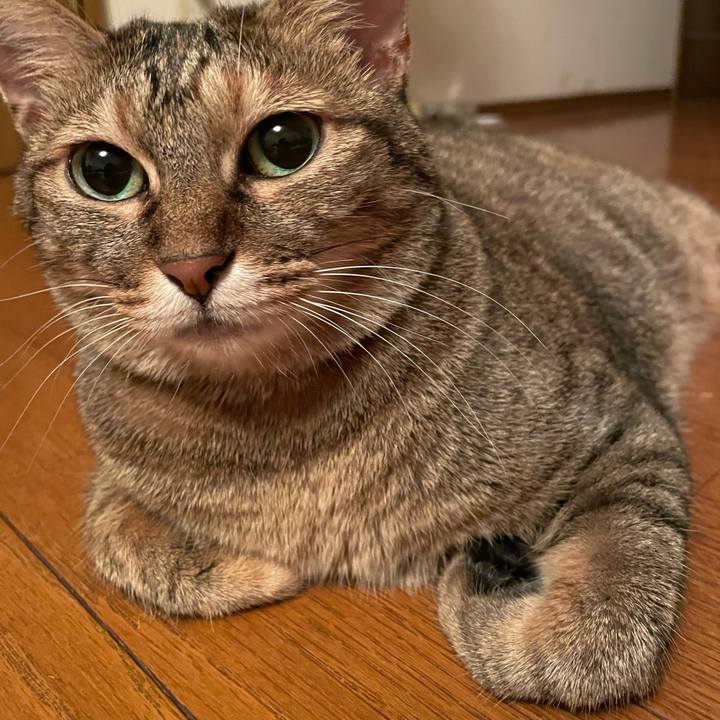 F22a5112 68b0 47a6 ad87 961ef66aef84 1663855668156