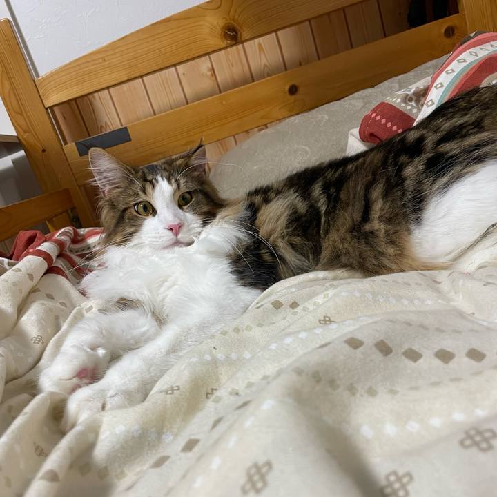 F22a6841 72da 4913 a4db 50fc069ba835 1645102668843