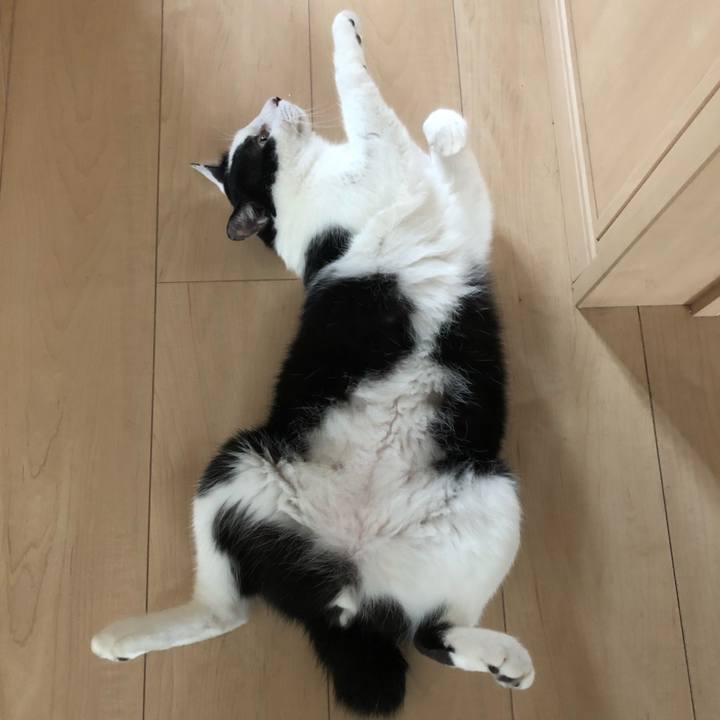 F22a6be8 f086 4213 8d1b 176d57770d5c 1561612564556