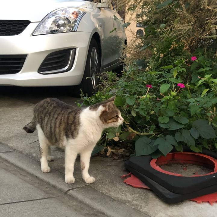 F22a6e25 2318 4ca8 b2aa 69fde0fc3812 1570465432349