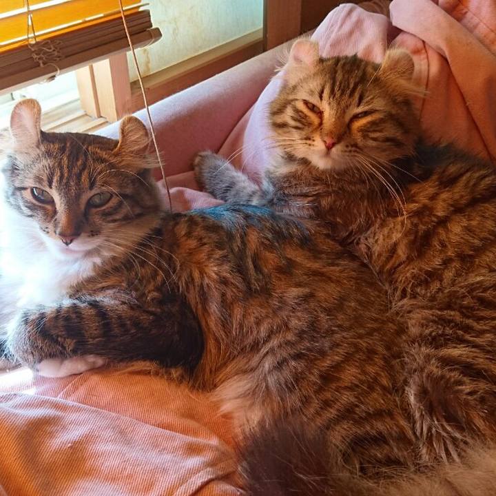 F22a6ef6 02c4 4ce8 8a7b 13a851405377 1550815997871