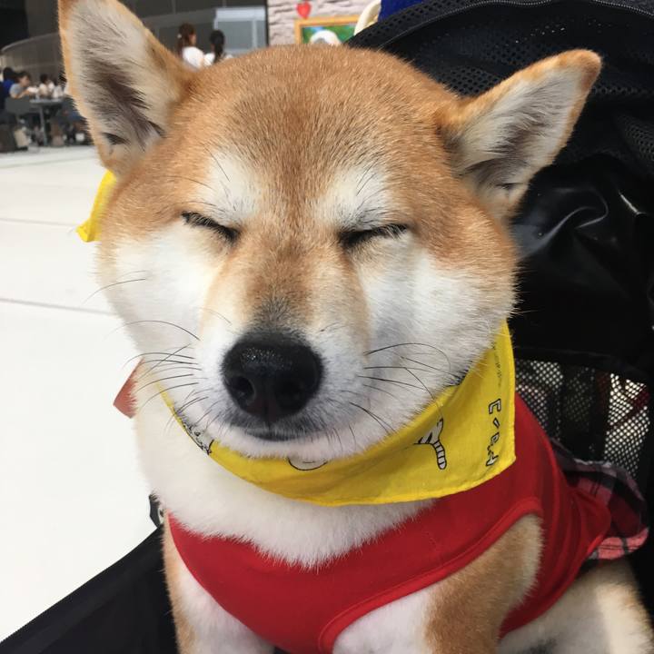 F22a859b 55ae 417a 82cc 25f1d6ee85ad 1566643673154