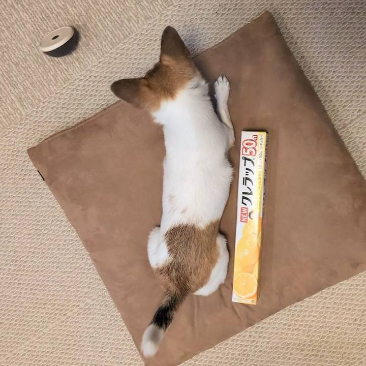 F22ac438 84ed 470d a03d 2b06c169a43a 1754894056357