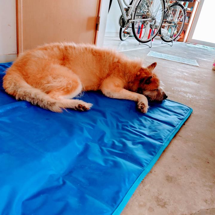 F22ac622 fbd3 42da adcb 6ec60df70fca 1626412401912