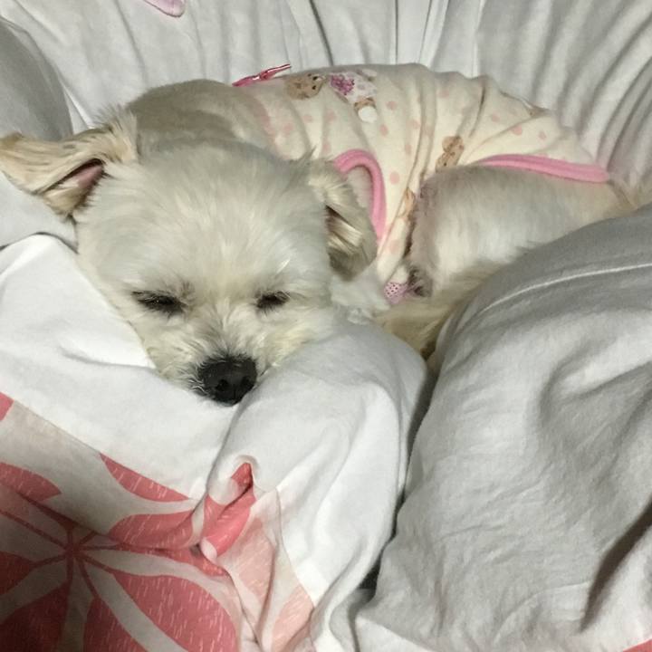 F22adb41 ea31 468a 96e4 9d761a28e432 1526293598507