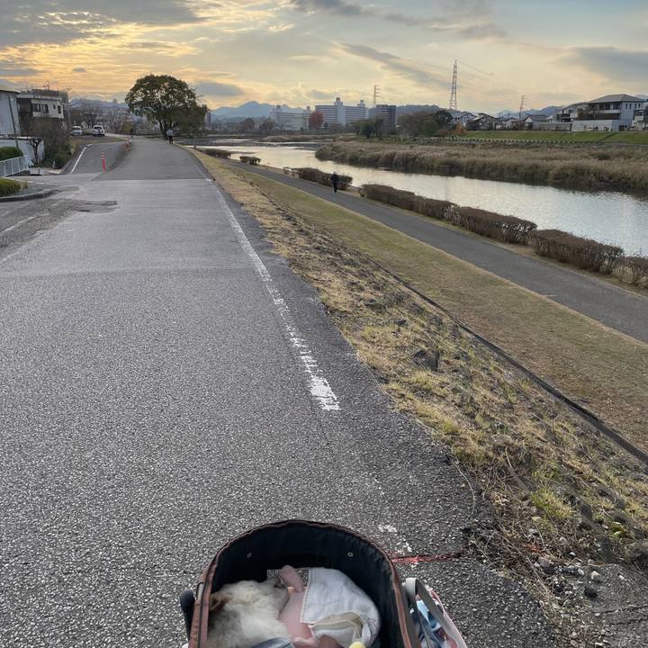 F22b0aaf 6de8 4ee2 89bc 26dc9885f204 1670672406966