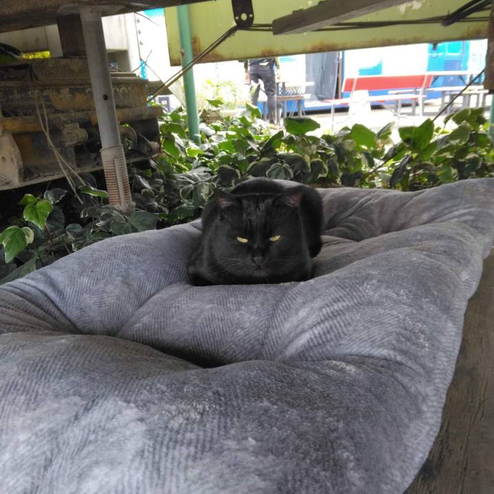 F22b5811 c249 4041 b555 8b42485b66b9 1667802407350