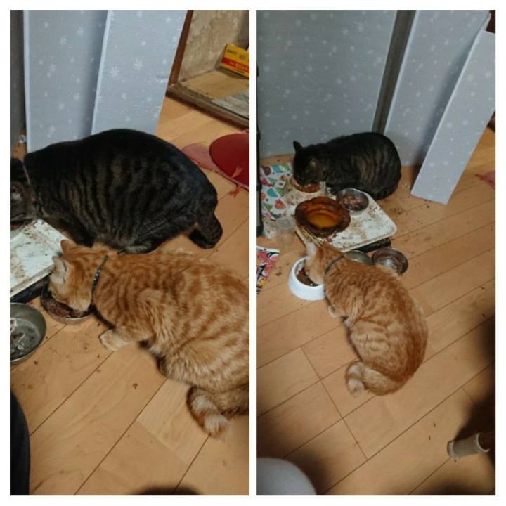 F22b62fd 7190 4b8a bdca bf4b6ecde4d1 1650353578233