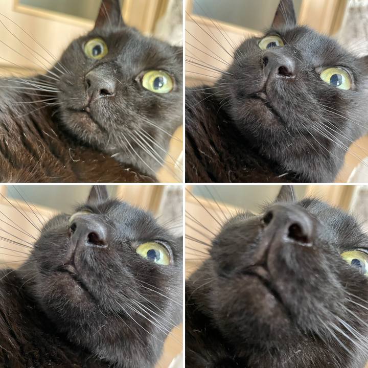 F22b9a25 abe5 400e 84df 0a140b51fdc1 1682734224269