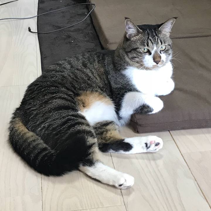 F22c00d8 d6c1 408f 822a b94b057f7f16 1538116255711