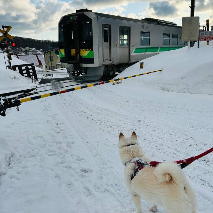 F22c1475 d43c 4999 8cba 7d276aa3d491 1709941888311