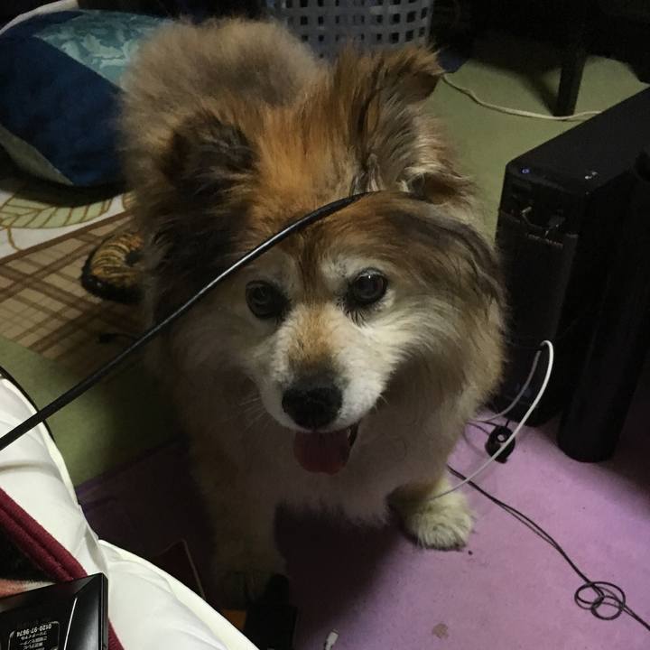 F22c2d90 b78a 4b2f 9b11 b8dbad37980f 1575722843008