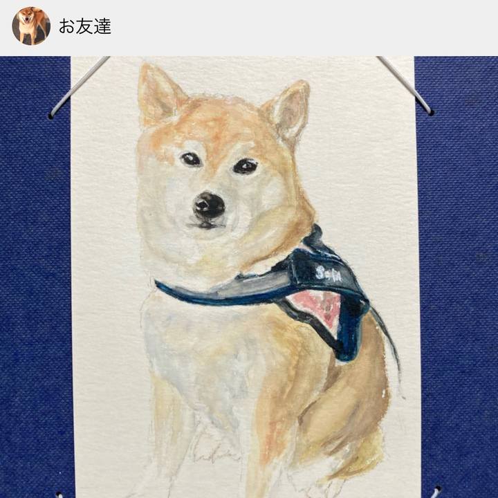 F22c38a3 6ec9 4844 a650 798a0159abd7 1642506392205