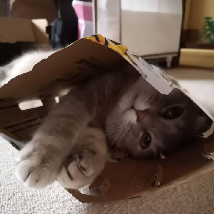 F22c4da5 d564 45c3 a5ae 17bb0edf2add 1569210878589