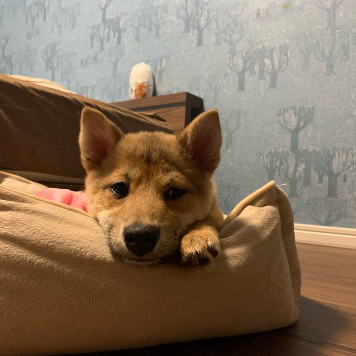 F22c582d f5b6 4a01 895f d5ea598a6601 1621039763753