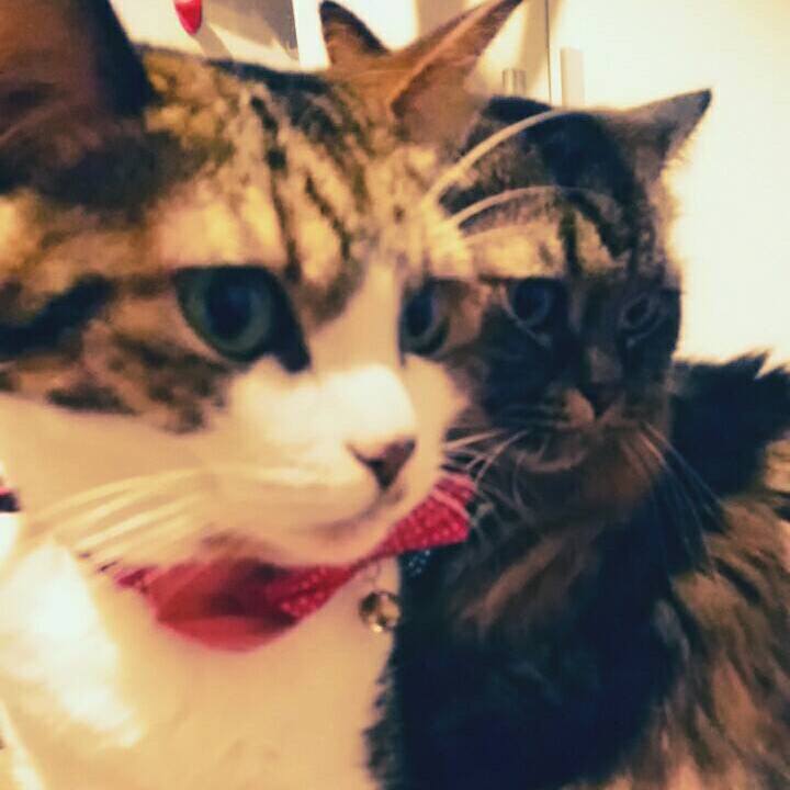 F22c5abd a7de 44ef a0c3 731e7feb3f0e 1514772379054