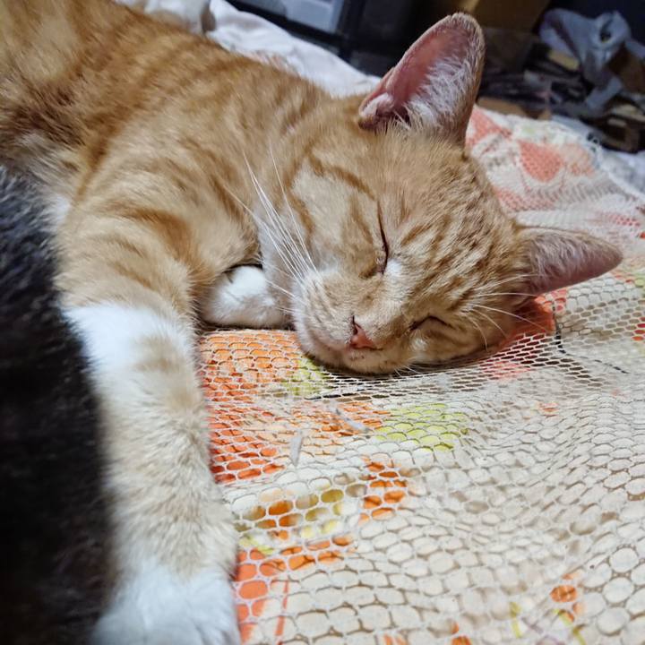 F22c7efe 6994 4d80 9aeb 9e95d0bef7d0 1571576964601