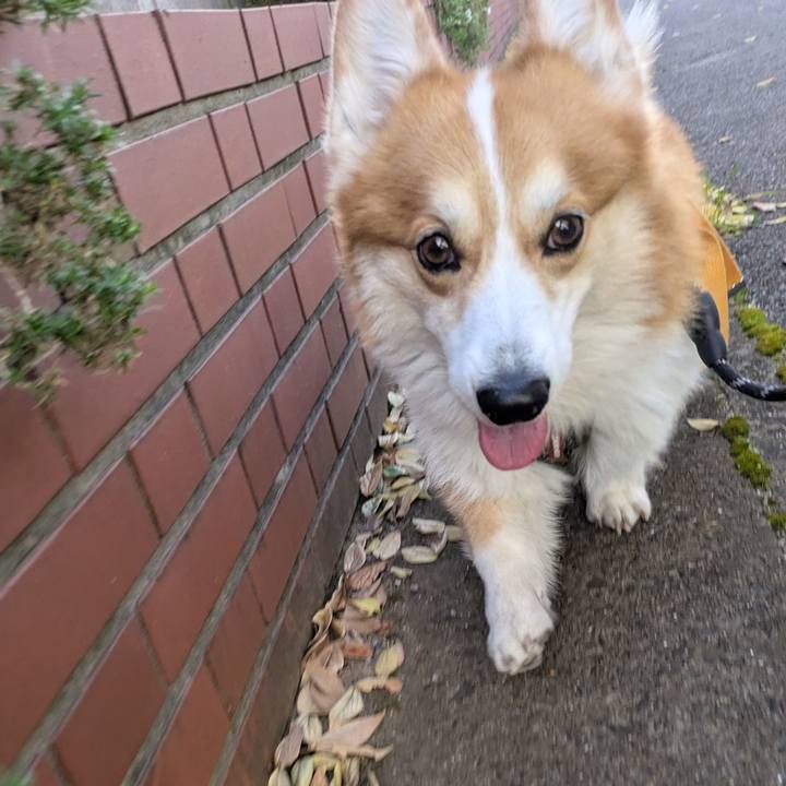 F22c80b2 b164 4fc2 b36a f59514d88071 1764389787148