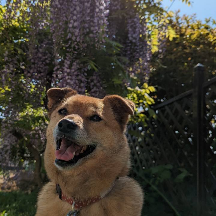 F22c95c1 8793 47ed ada9 2ab3fafe776a 1651929986552