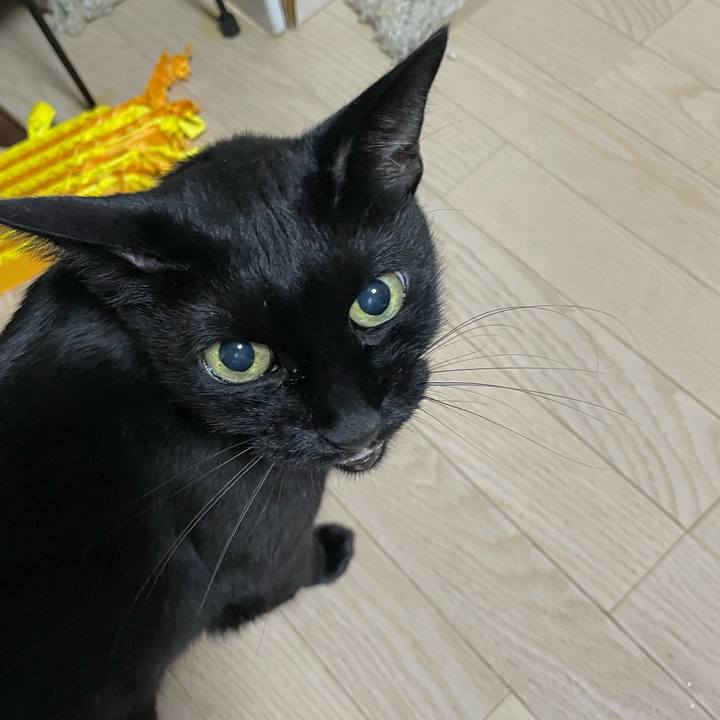 F22ca05a df2b 404a b78e 552ab1c2b738 1754733693887