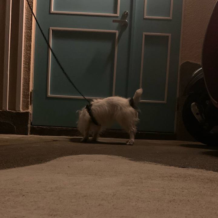 F22caedd 6c4d 4ab3 bb31 1e23d6c1b190 1687266280956