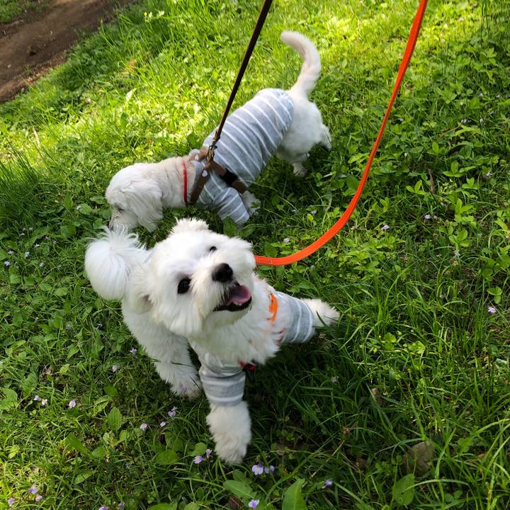 F22cd961 3aea 4454 984a 68c4471601f4 1524991795338