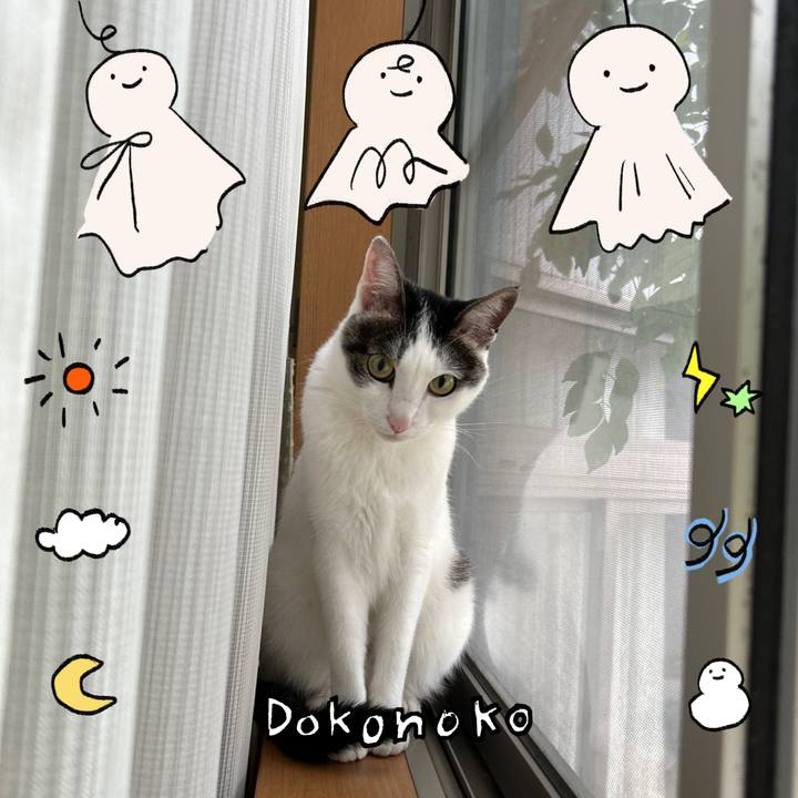 F22d35db a28b 48ca b50b 6185b7dda4ad 1749423993817