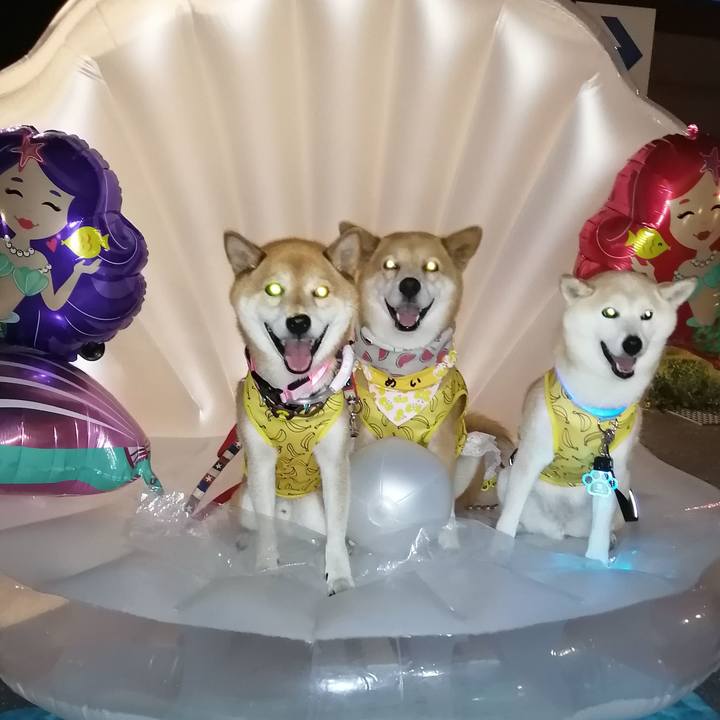 F22d6be2 6ebe 42bc 9629 eb9cf7612ec2 1690714949972