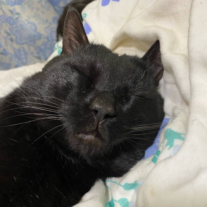 F22d75ee b4ea 4260 be88 4e4af37d39f9 1644074531483