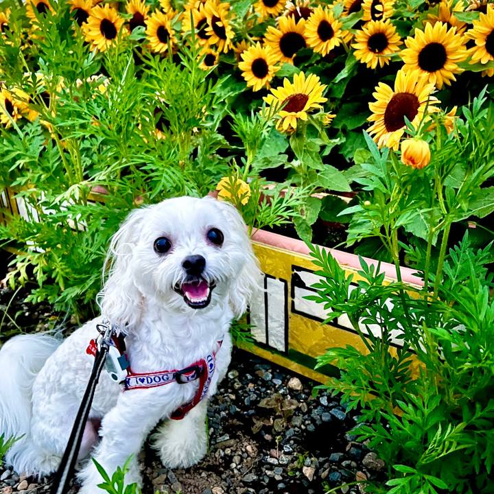 F22d915f 927d 4478 8b76 326029484dc9 1657604991434