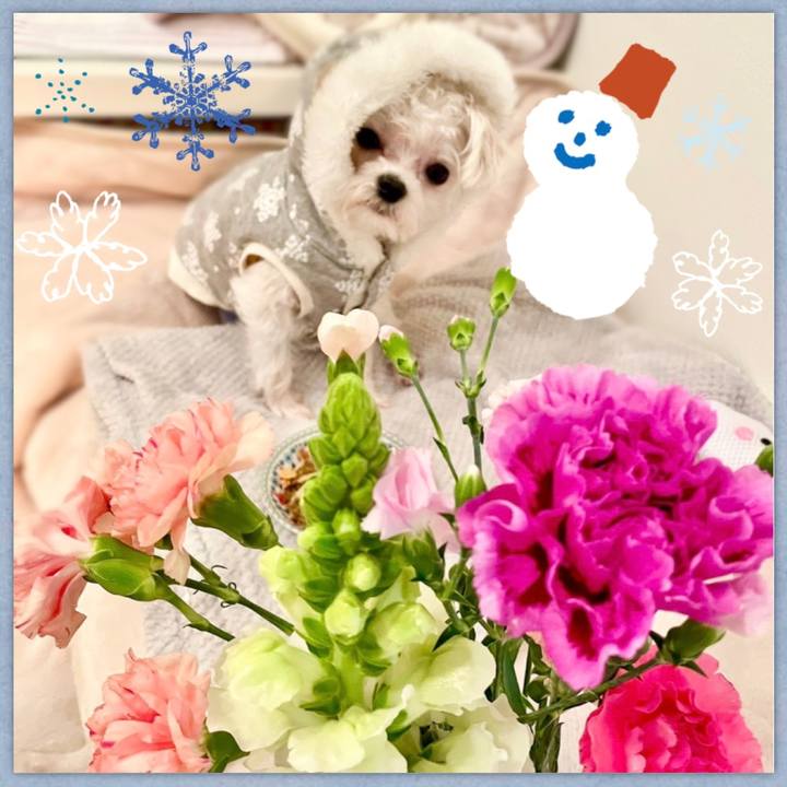 F22d9a92 4aa8 47bb 8b51 d2d00095bf57 1643773061529