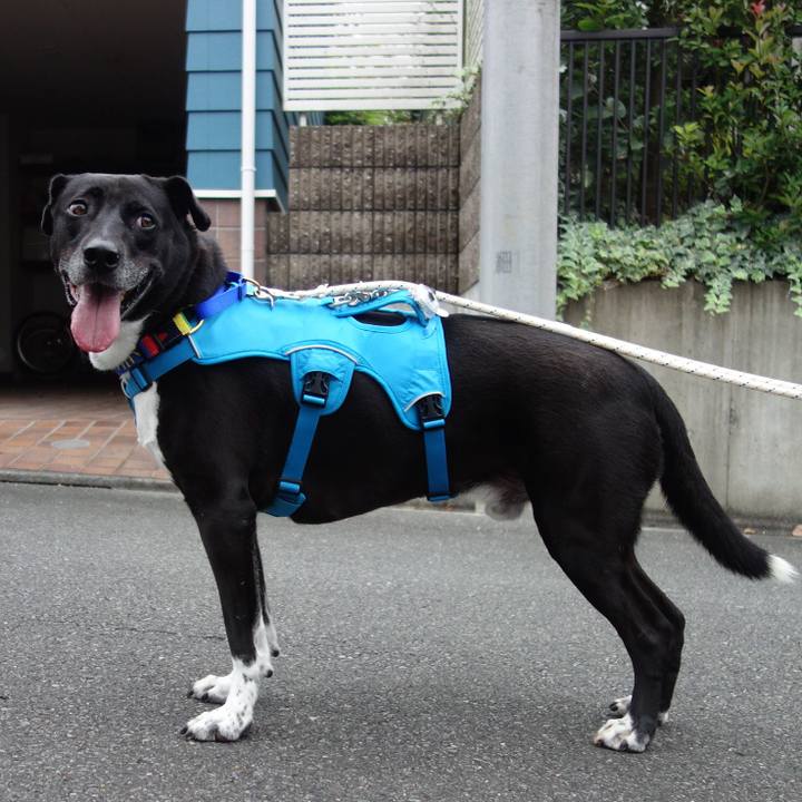 F22d9bbd bfa0 4b85 acdc 96bb1f8d3d81 1665966438338