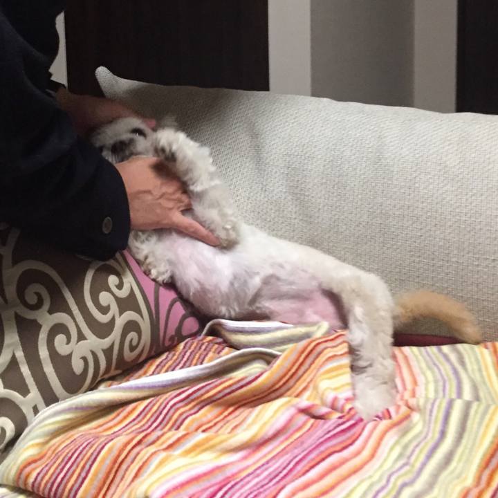 F22dc55d 0e9c 4b47 b131 d98acbc68ecc 1521152703132