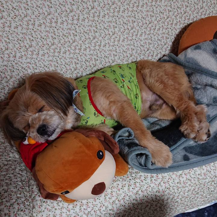 F22dcdbb d879 4653 a55b 8d0f09149134 1585491682656