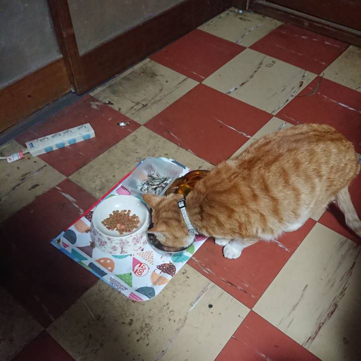 F22dfd40 9520 4d91 a301 67d974c7a343 1588018795629