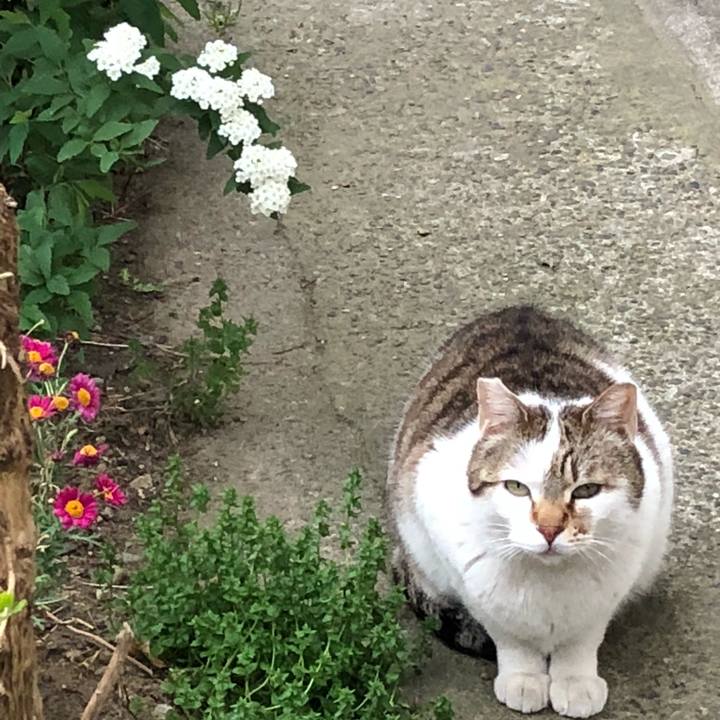 F22e2619 9da8 4ae3 bbe6 8674d0efc9de 1523739468944