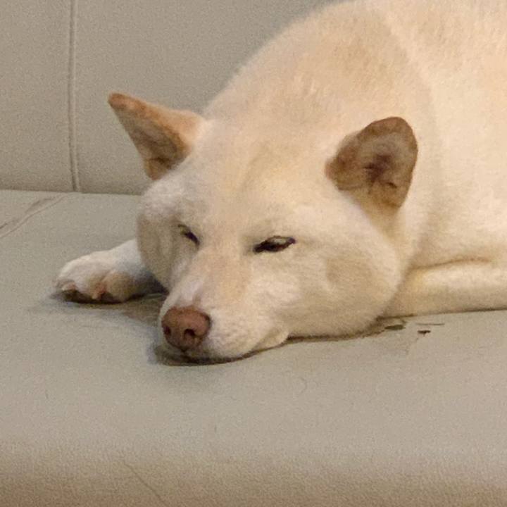 F22e493a 93d6 45d8 847a 3f7ec1588d83 1555846854487