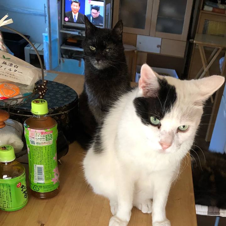 F22e6300 0f07 4419 84d1 e9c47ce1be0b 1560856044883