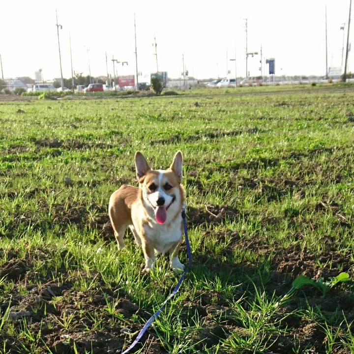 F22e94e4 804e 4cd6 afec 92c16a12383a 1576829696238