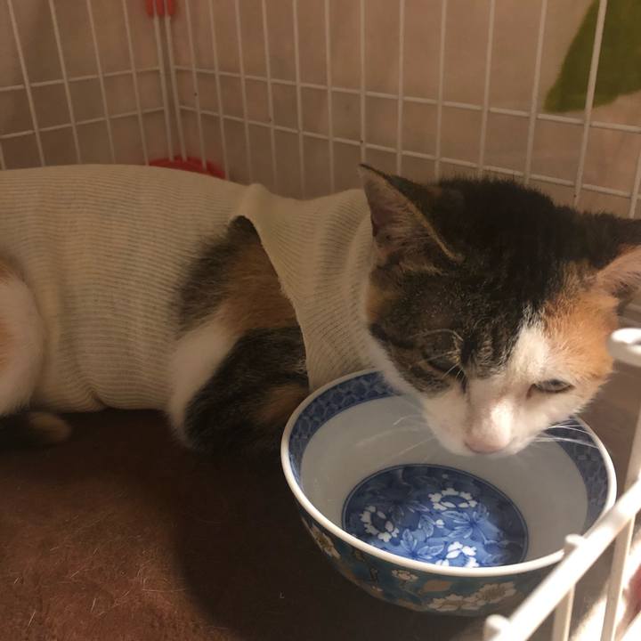 F22edefb a793 491d a0a3 1e074000ac35 1573570095068