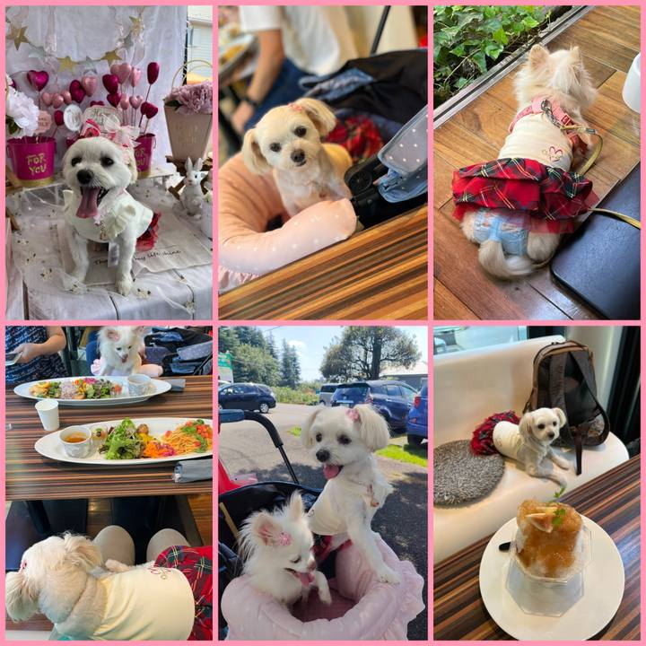 F22ef537 21a6 4fac bac8 27473b1cddbb 1662883231218