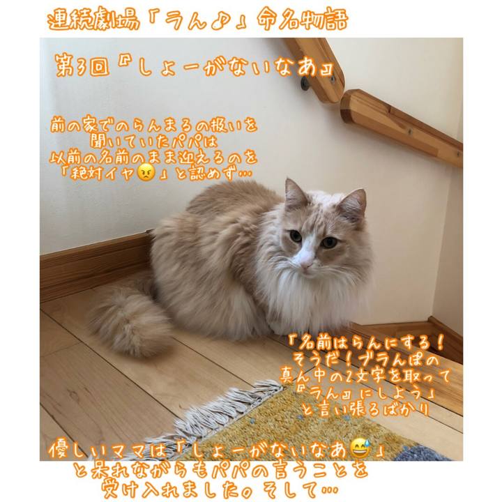 F22f0ae5 96bd 4f5c 9dd2 3fbf04f57a5f 1528982957145